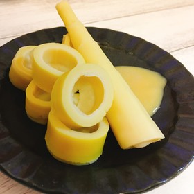 淡竹(はちく)の酢味噌添え